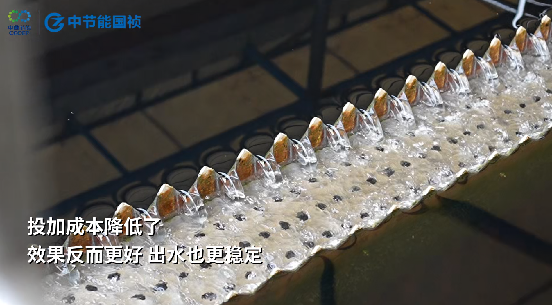 �ǹ��ɶ� - �����ʵ���Ϸ��Ӫ�̹���