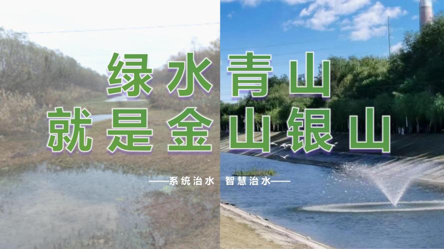 �ǹ��ɶ� - �����ʵ���Ϸ��Ӫ�̹���