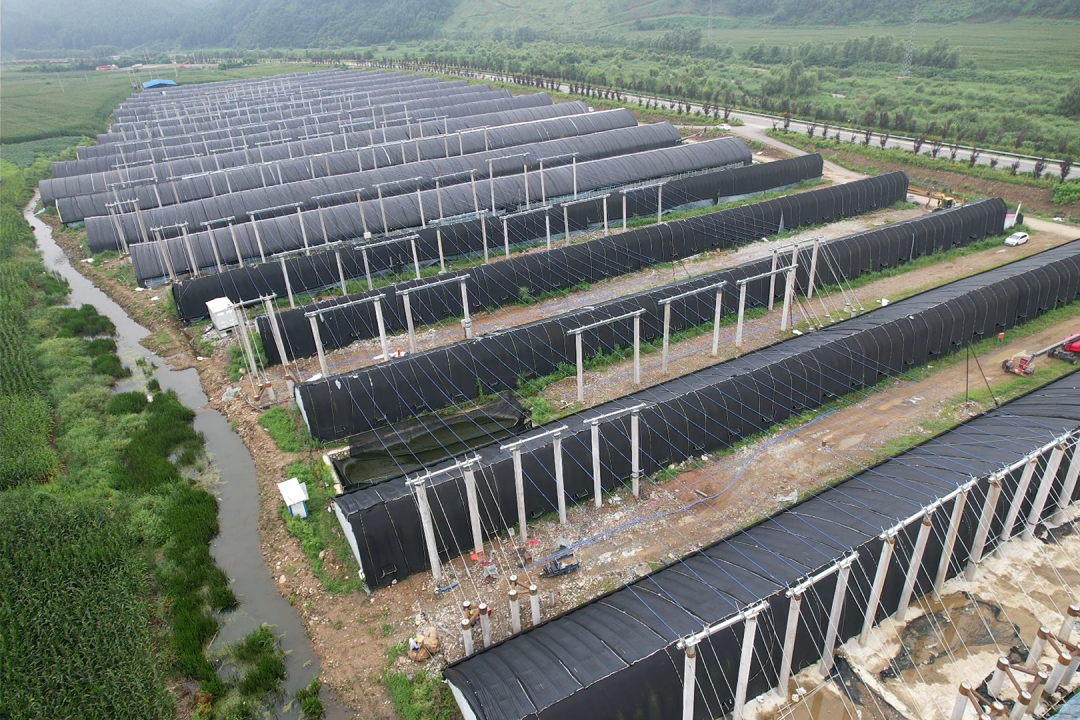 糖果派对 - 更优质的游戏运营商官网