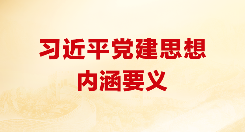 进建贯彻习近平党建思想