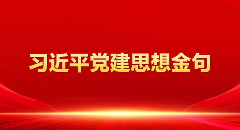 进建贯彻习近平党建思想