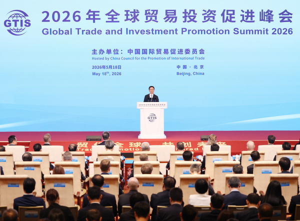 Liao Jiasheng Attends Global Trade and Investment Promotion Summit